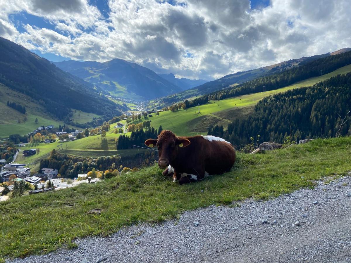 Genieten In Saalbach, Alpenresort Saalbach Top D1 By Droomvilla Exterior foto